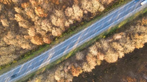 Aerial View of Intercity Road with Fast Driving Cars Between Autumn Forest Trees at Sunset