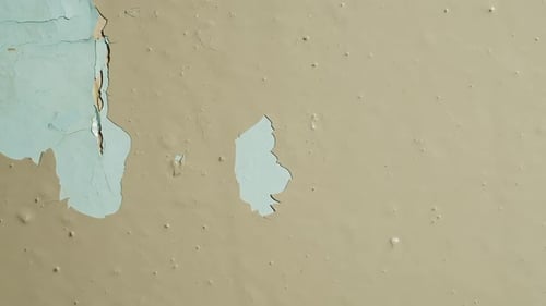 Close Up of Peeling Beige Paint on Wall