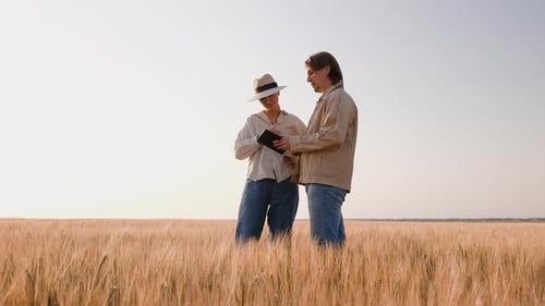 Farmers Discussing Wheat Crop in Golden Field