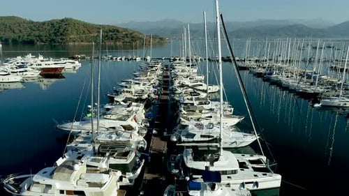 Yachts in the Marina