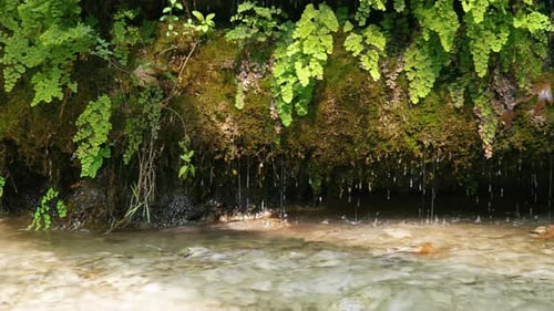 Natural Landscape Water Drop