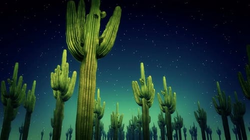 Flying Through a Starry Desert Night with Saguaro Cacti