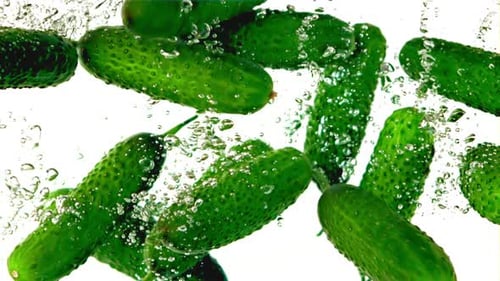 Fresh Green Cucumbers Floating in Clear Water