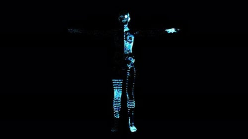 Holographic Female Scan Element