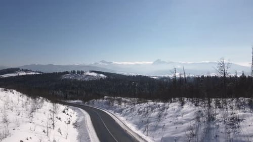 Scenic Landscape of Winter Carpathians Forest and Mountain Valleys Aerial Drone View Video