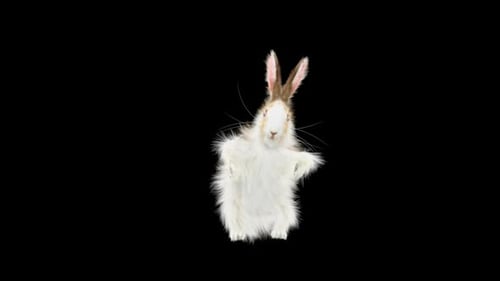Hase: Tanzen HD