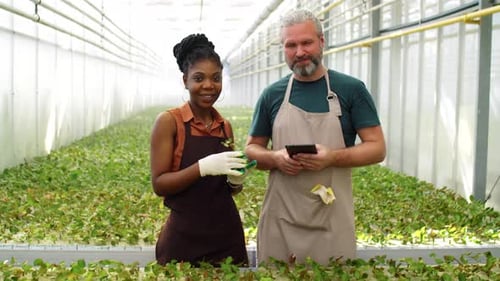 Two Young Adults in a Greenhouse