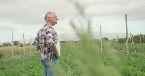 Mature man working on farm