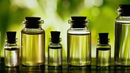 Garrafas com óleo essencial no fundo da natureza