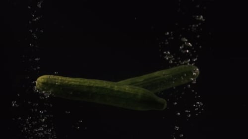 Cucumbers Floating in Dark Water