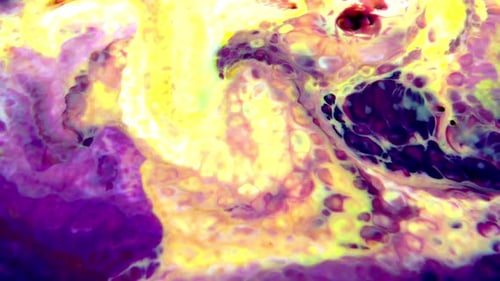 Colorful Abstract Ink Swirls and Spreads