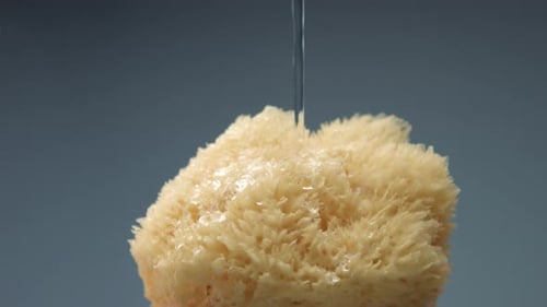 Water Flowing Over Natural Sea Sponge for Skincare