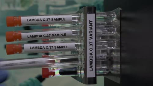 Proben des Lambda C37-Varianten-Teströhrchens werden aus dem Rack entnommen Vertikales Video, gesperrt