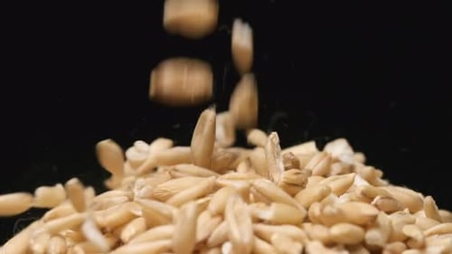 Makroaufnahme des Fallens von Hafer auf einem Haufen