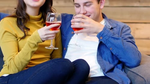 Smiling couple toasting a glasses of wine in living room