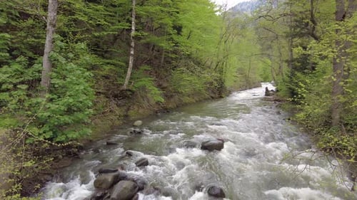 Rapid Mountain River in der Sommersaison