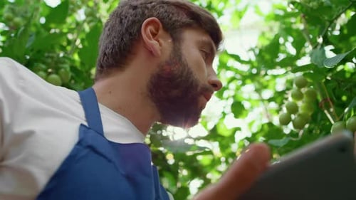 Agricultural Specialist Inspecting Plant with Tablet in Organic Orchard Portrait