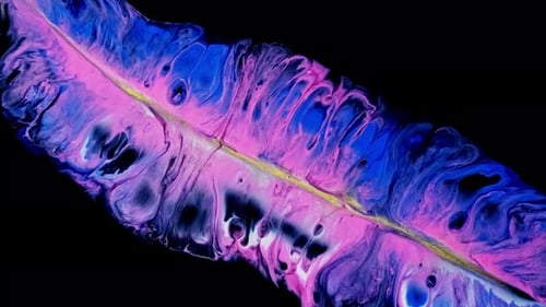 Abstract Feather Shape in Blue, Pink, and Gold