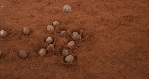 Mace Falling onto Bed of Mace Powder