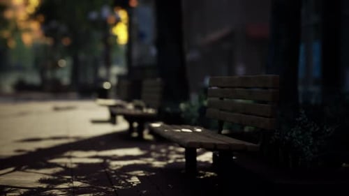 Atmospheric Park Benches with Moving Light Loop Background