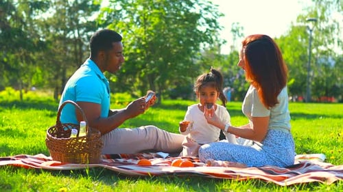 Happy Family Spending Time Together in Sunset Summer Park