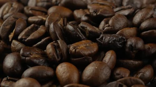 coffee beans close up