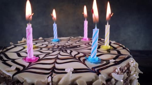 Close up of Decorated Birthday Cake with Candles