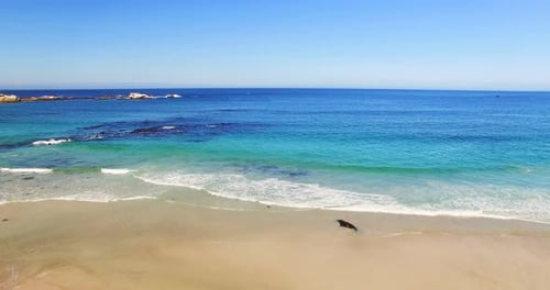 Aerial of beautiful beach
