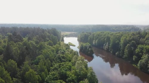 Paisagem da natureza em dia claro - o rio se estende entre a floresta