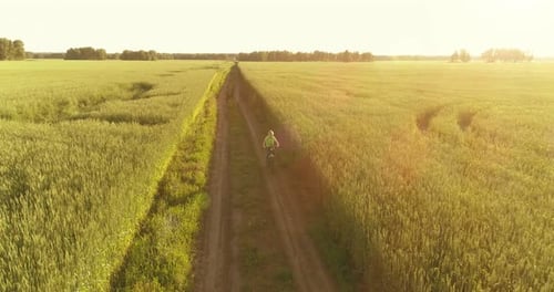 Luftaufnahme eines Jungen, der mit dem Fahrrad durch ein Weizengrasfeld auf der alten Landstraße fährt