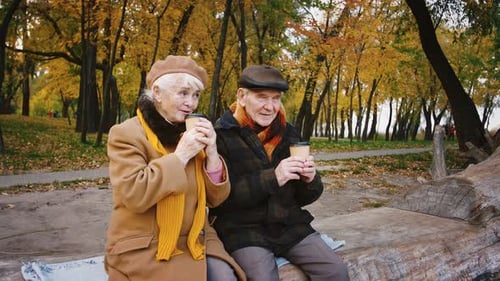 Senior Couple Enjoying Autumn Day in the Park