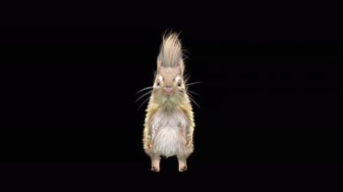 Realistic 3D Squirrel Stands and Wiggles Nose