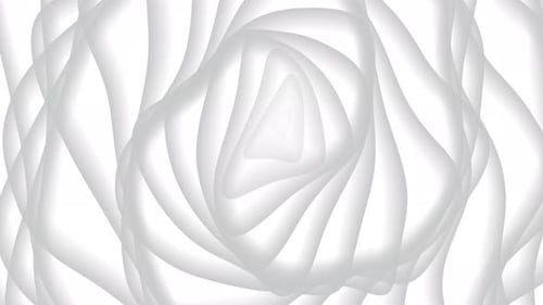 White Color Background