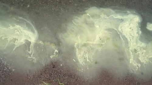 surface of a polluted body of water