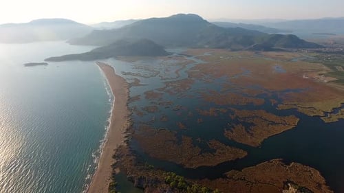 Aerial Swamp Wetland and Lake Next to Reed Delta by Sea