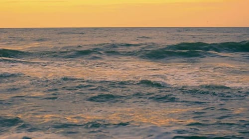 Sea
