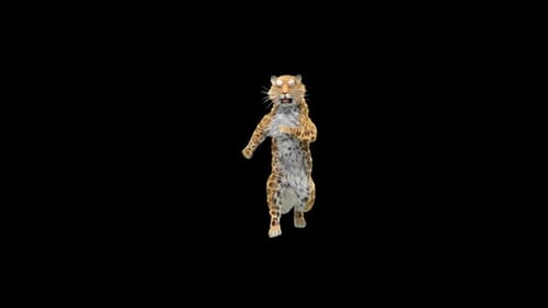 Leopard Dancing HD