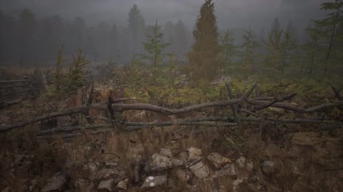 An Old Wood Fence with a Country Field Behind It