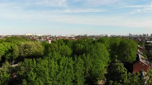Aerial top view of summer green trees in forest background, Caucasus, Russia.