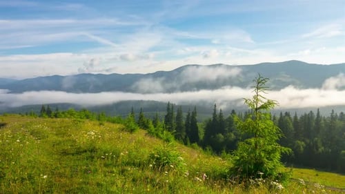 Foggy Mountain Time Lapse with Green Forest
