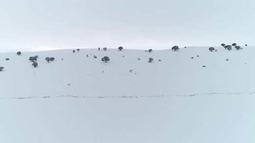 Winter-Tal