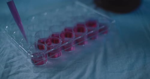 Dropping Liquid into Scientific Test Tube Tray