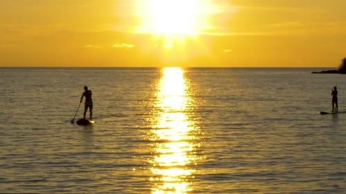 silhouette of Paddle board in the ocean at sunset, golden hour Crop Pan