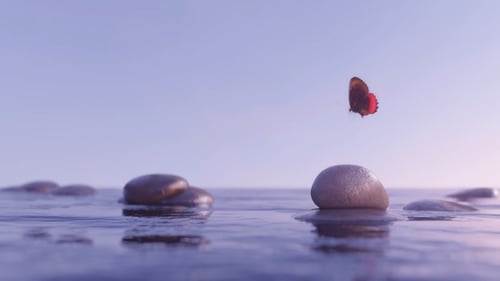 Butterfly Fly Effect over Balance Stone Water Loop