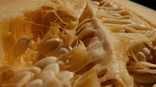 Gros plan sur les graines d'un melon cantaloup.