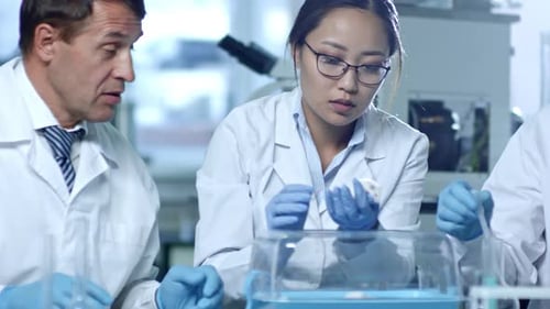 Scientists Experimenting With Mouse in Bright Laboratory