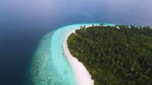 Flight around the Maldivian island densely planted with green trees with white sand and blue water o