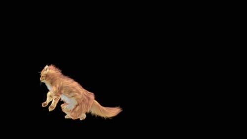 Katze HD