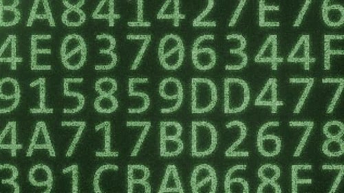 Text mit persönlichen Daten, der mit vielen Symbolen auf dem Bildschirm erstellt wurde