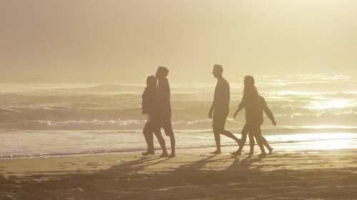 Group of friends walking along beach at sunset in slow motion